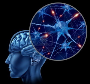 cerebro-humano-necesitodetodos1.jpg